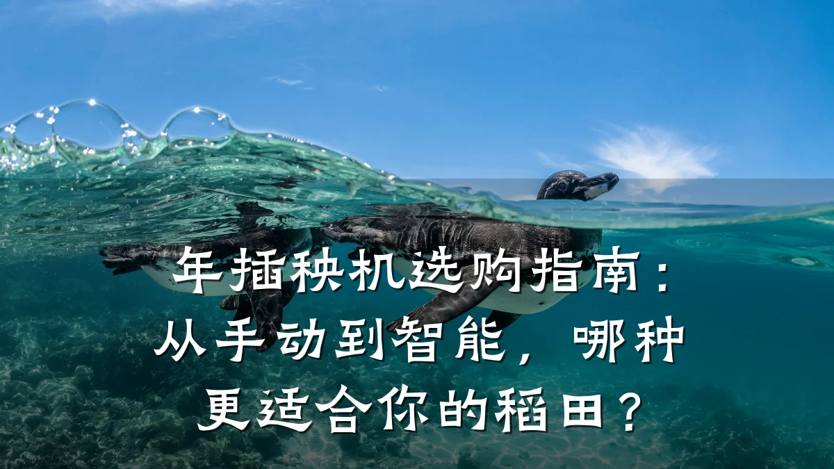 年插秧机选购指南：从手动到智能，哪种更适合你的稻田？
