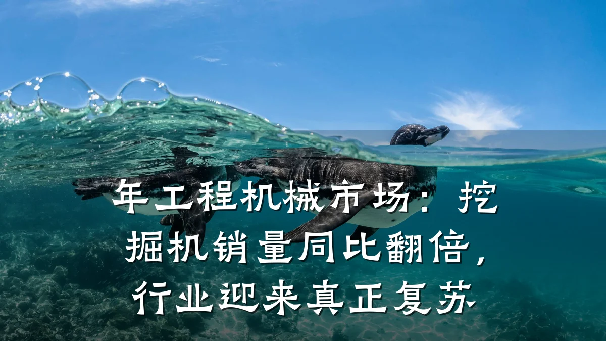 年工程机械市场:挖掘机销量同比翻倍,行业迎来真正复苏