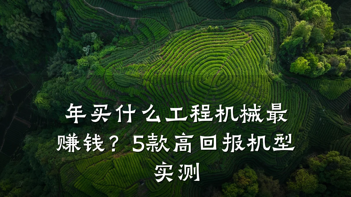 年买什么工程机械最赚钱?5款高回报机型实测
