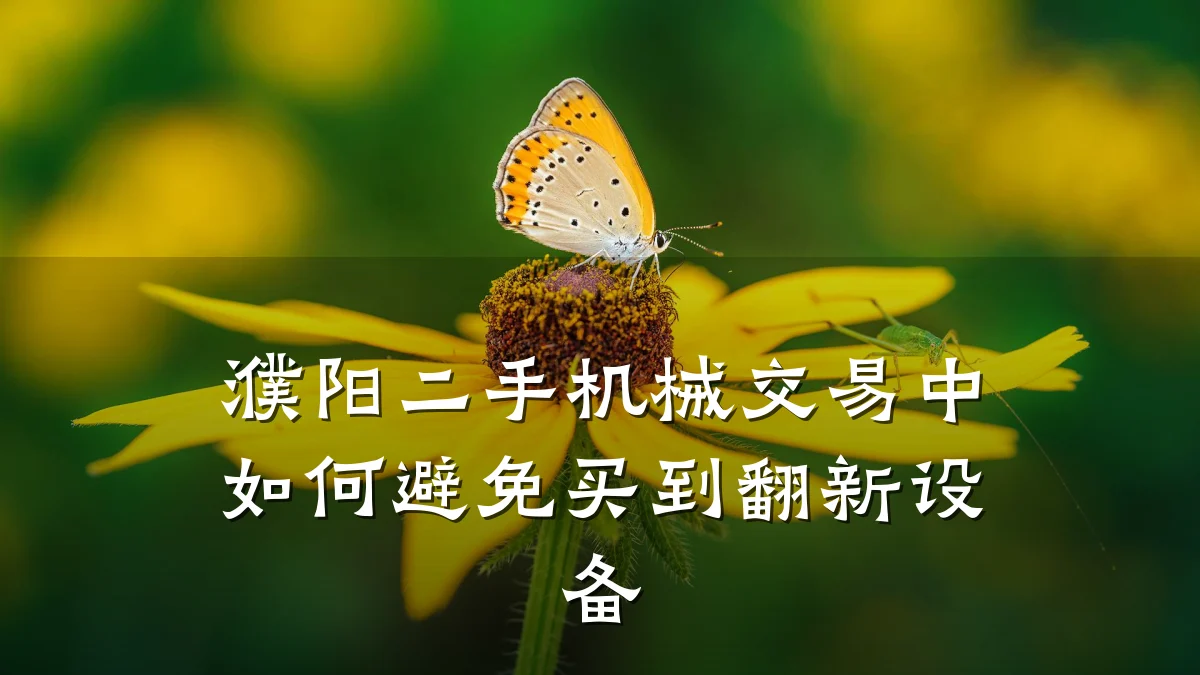 濮阳二手机械交易中如何避免买到翻新设备