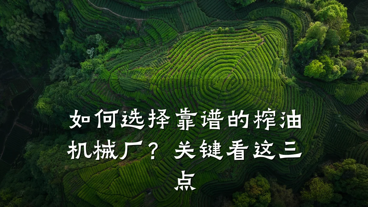 如何选择靠谱的榨油机械厂?关键看这三点