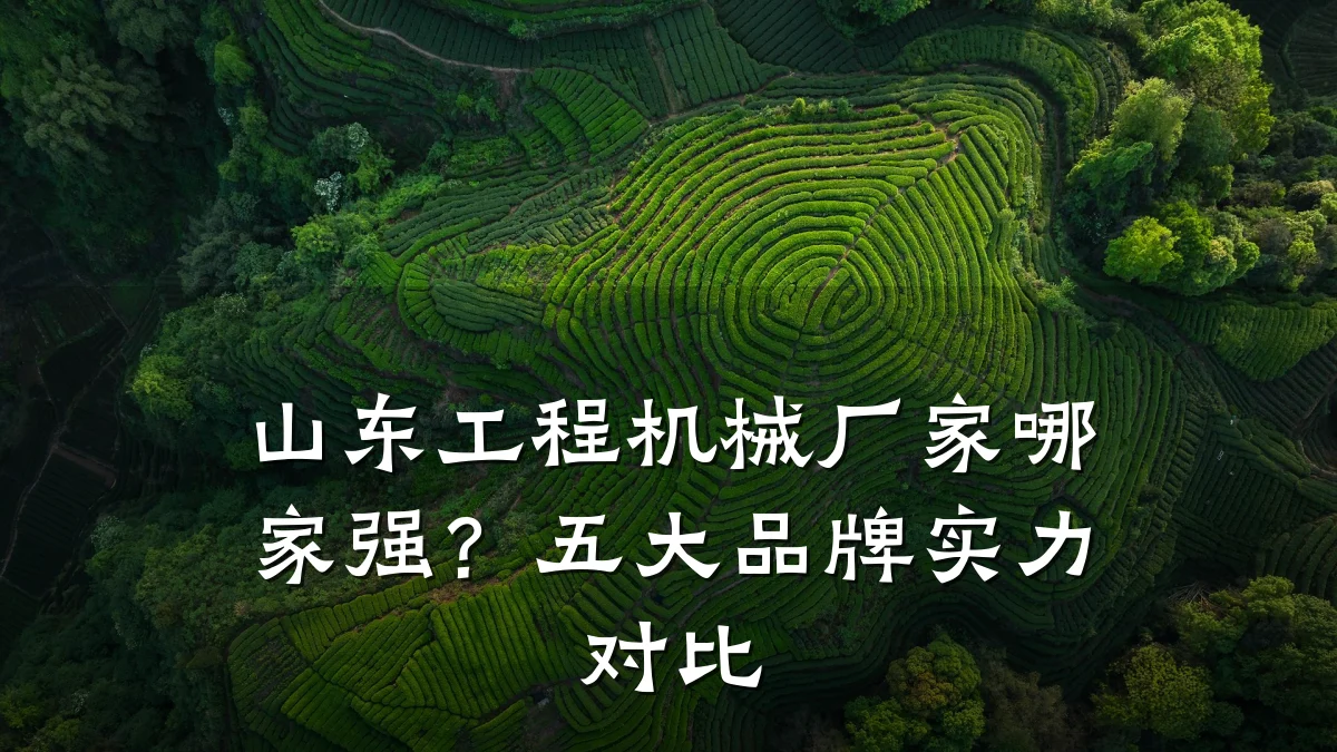 山东工程机械厂家哪家强？五大品牌实力对比