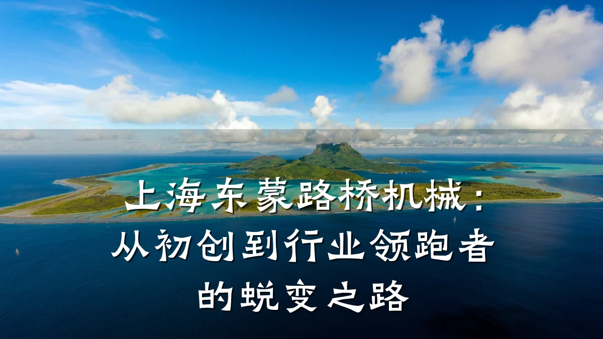 上海东蒙路桥机械：从初创到行业领跑者的蜕变之路