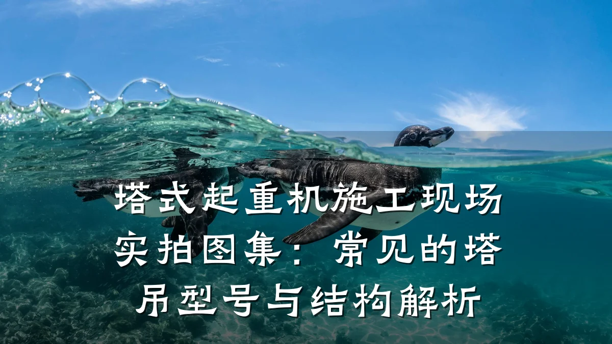 塔式起重机施工现场实拍图集：常见的塔吊型号与结构解析