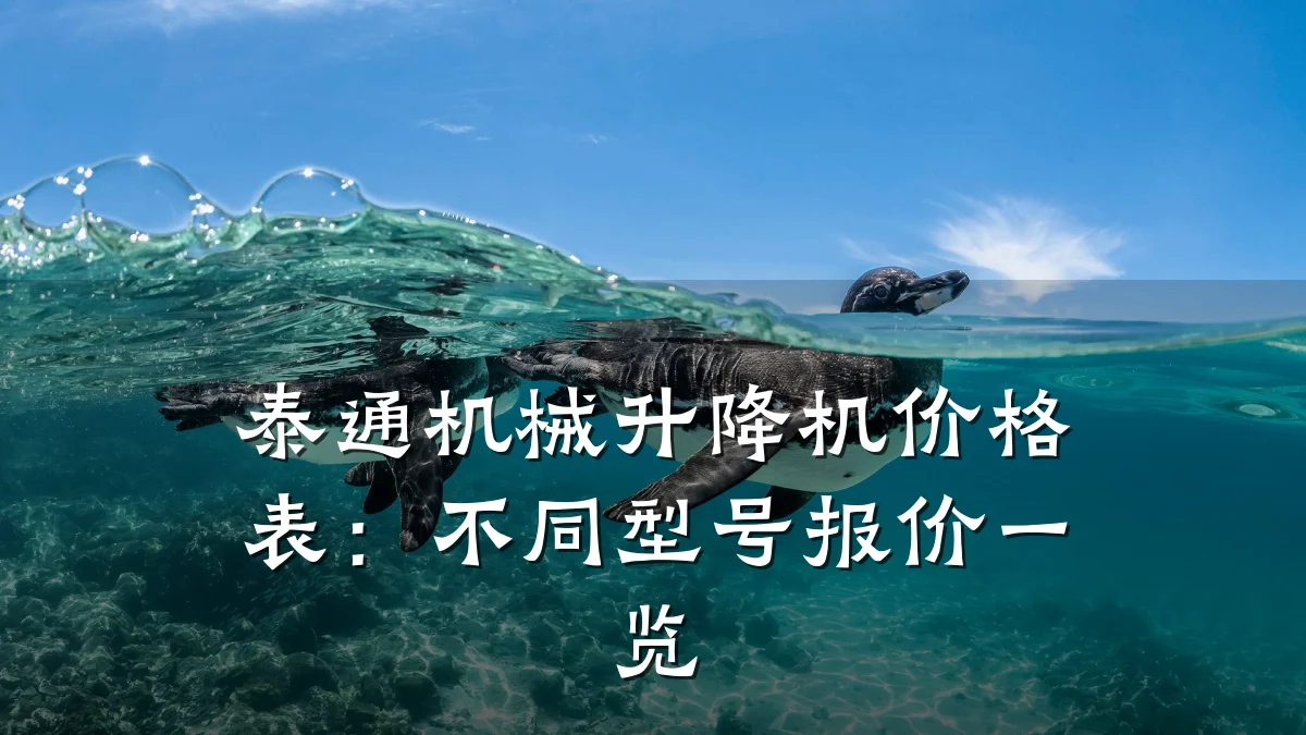 泰通机械升降机价格表：不同型号报价一览