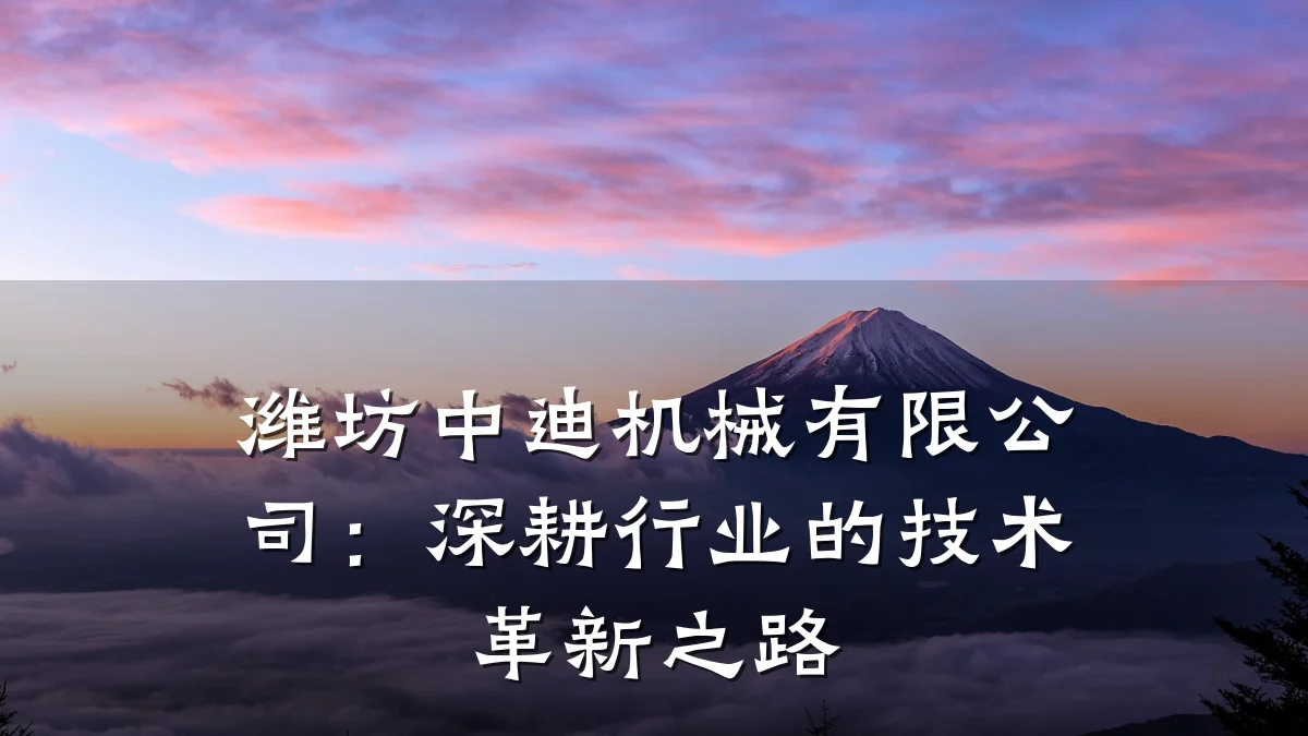 潍坊中迪机械有限公司:深耕行业的技术革新之路