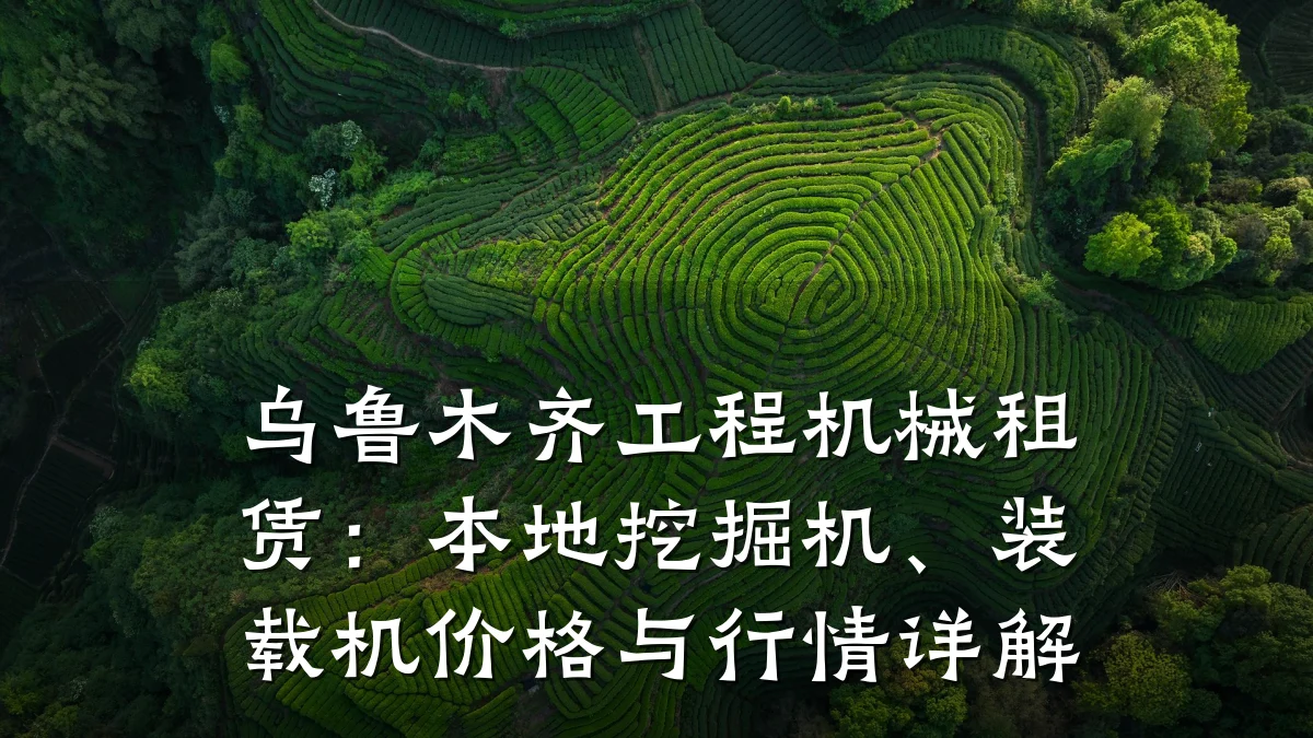乌鲁木齐工程机械租赁:本地挖掘机、装载机价格与行情详解