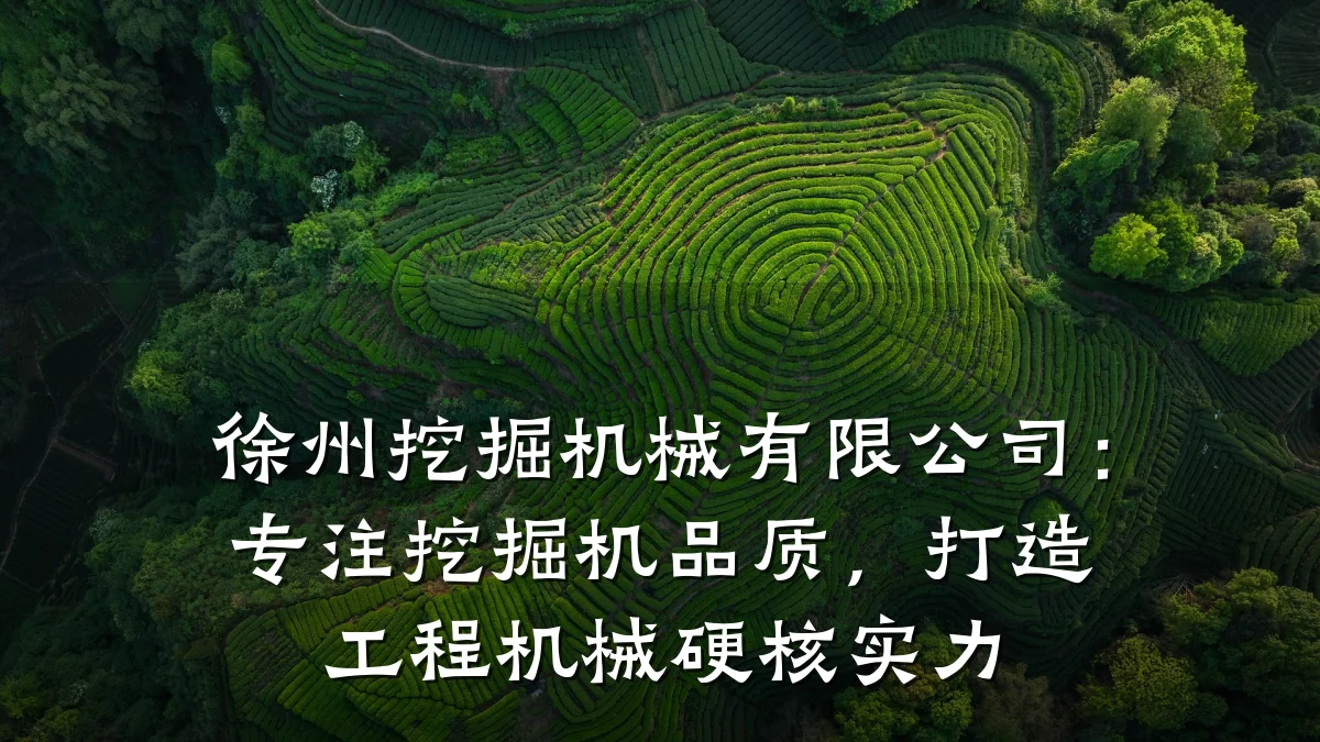 徐州挖掘机械有限公司:专注挖掘机品质,打造工程机械硬核实力