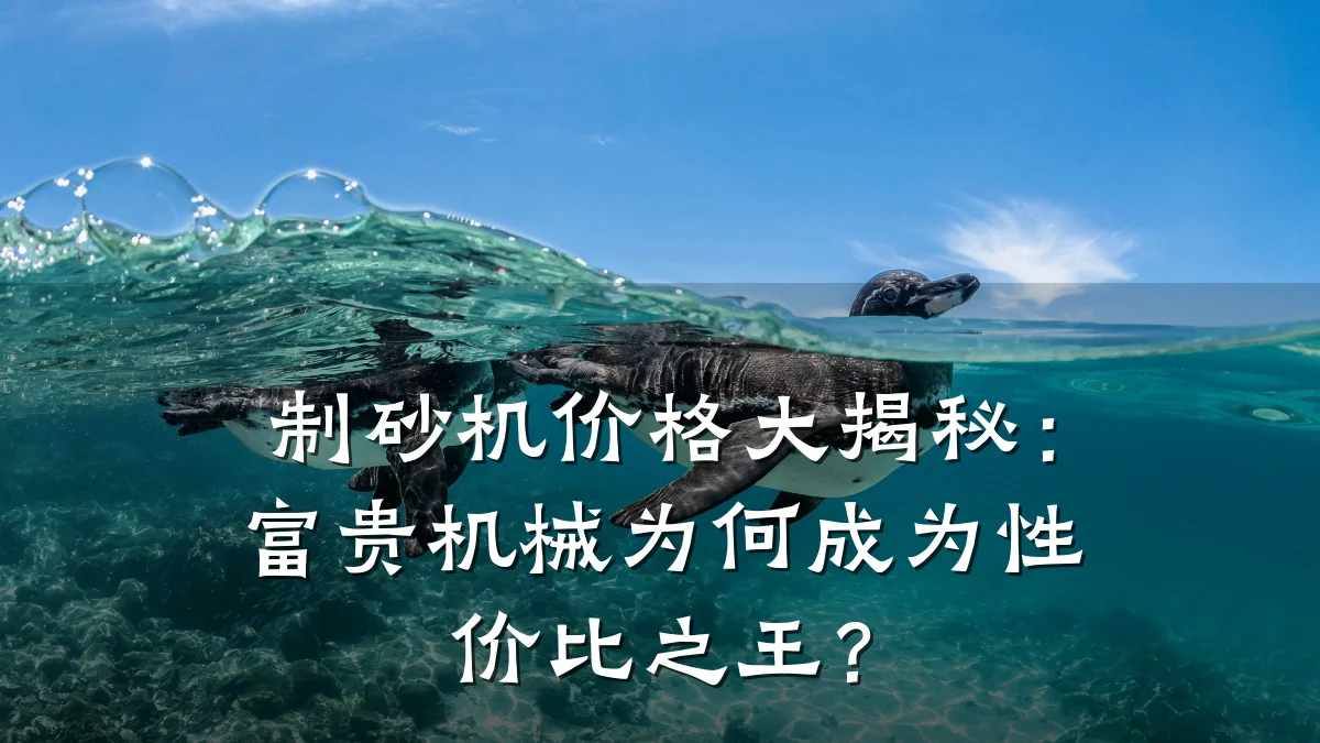 制砂机价格大揭秘:富贵机械为何成为性价比之王?