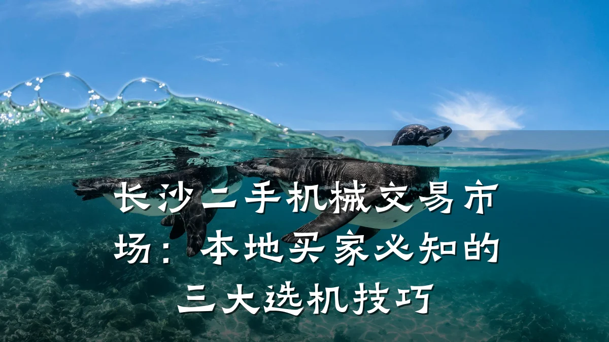 长沙二手机械交易市场:本地买家必知的三大选机技巧