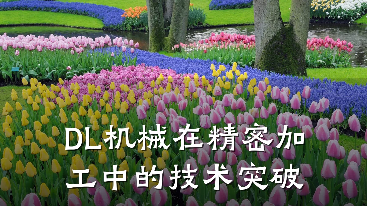 DL机械在精密加工中的技术突破