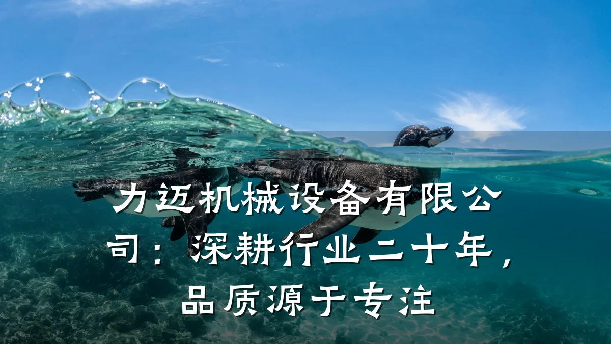 力迈机械设备有限公司:深耕行业二十年,品质源于专注