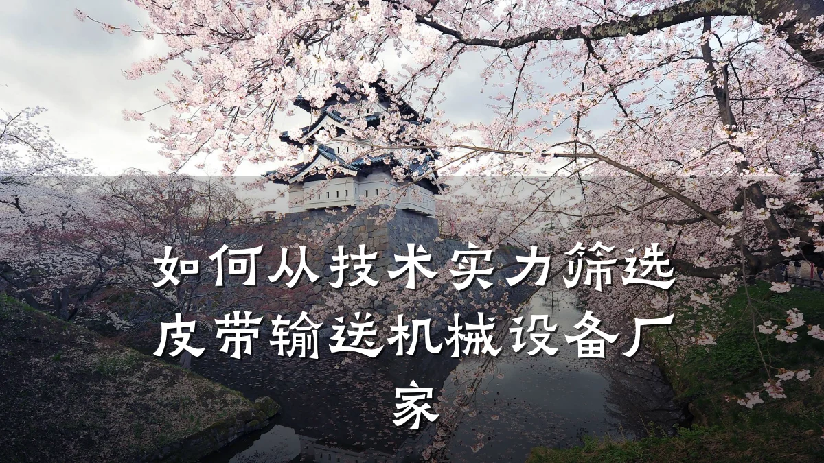 如何从技术实力筛选皮带输送机械设备厂家