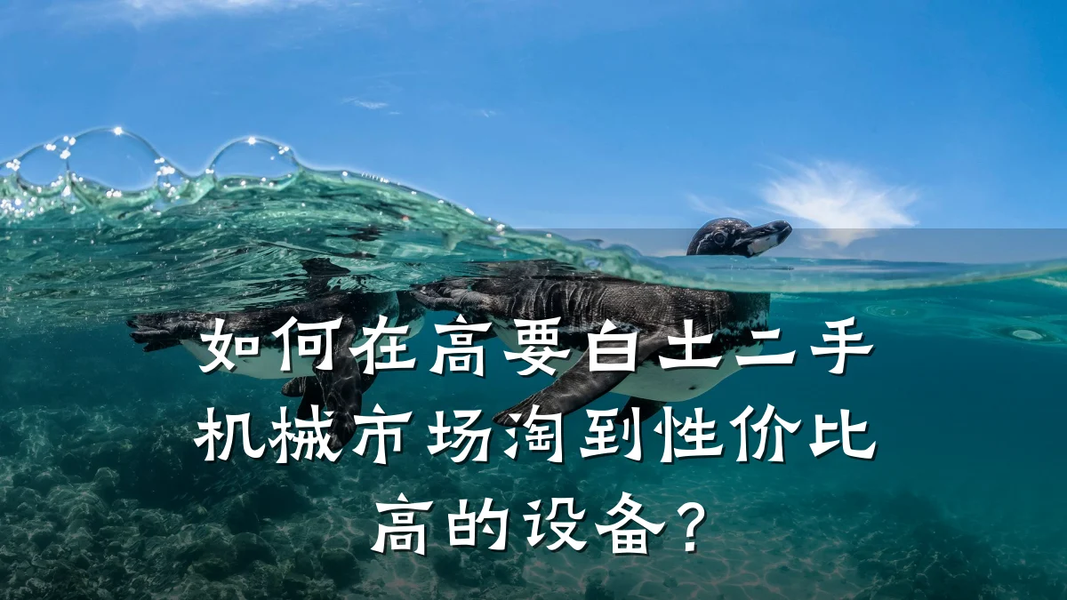 如何在高要白土二手机械市场淘到性价比高的设备？