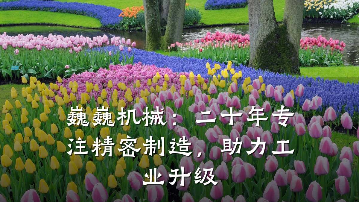 巍巍机械:二十年专注精密制造,助力工业升级