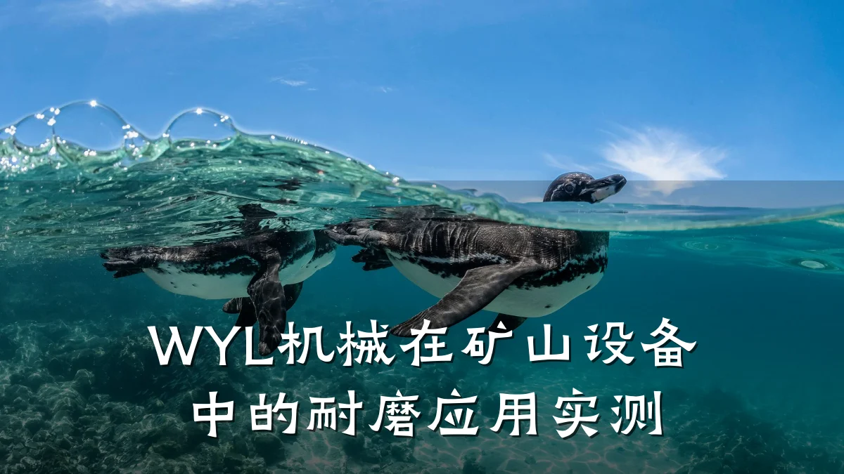 WYL机械在矿山设备中的耐磨应用实测