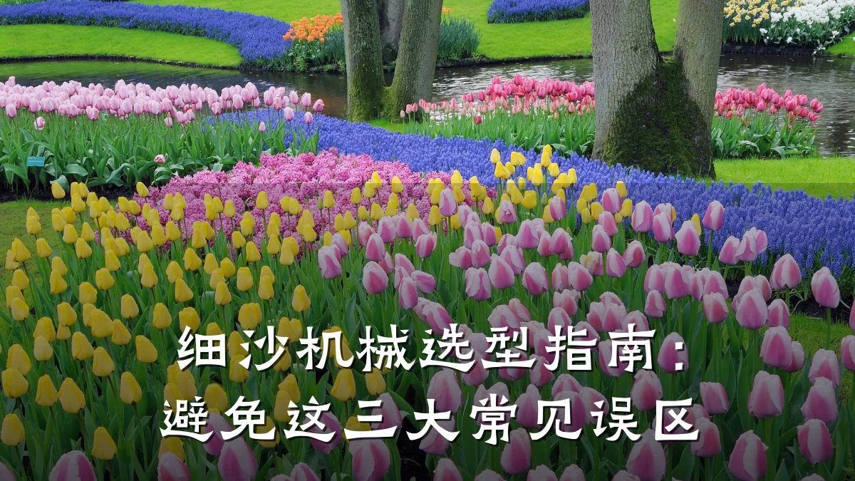 细沙机械选型指南:避免这三大常见误区