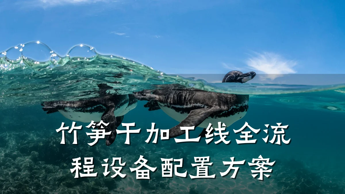 竹笋干加工线全流程设备配置方案