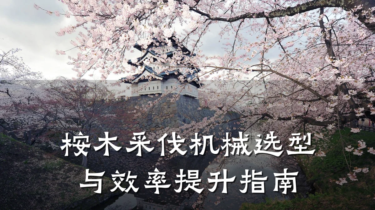 桉木采伐机械选型与效率提升指南