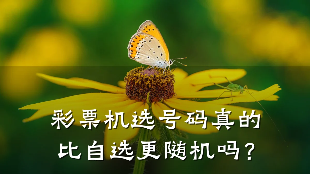 彩票机选号码真的比自选更随机吗？