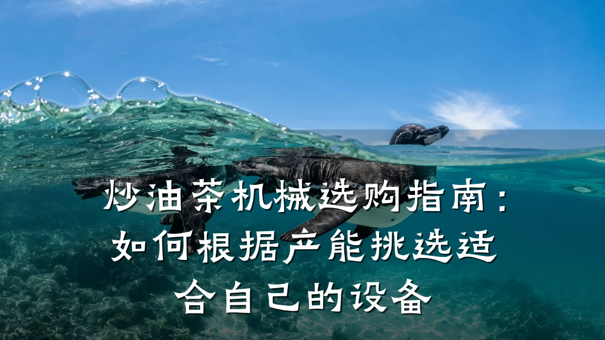 炒油茶机械选购指南：如何根据产能挑选适合自己的设备