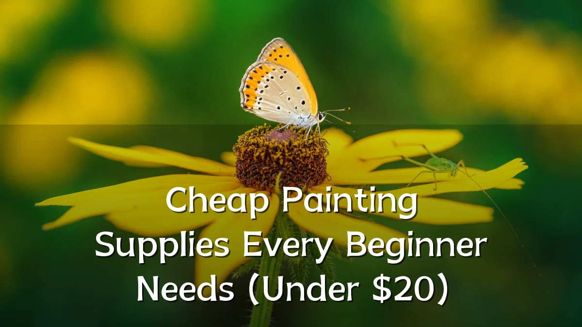 Cheap Painting Supplies Every Beginner Needs (Under $20)