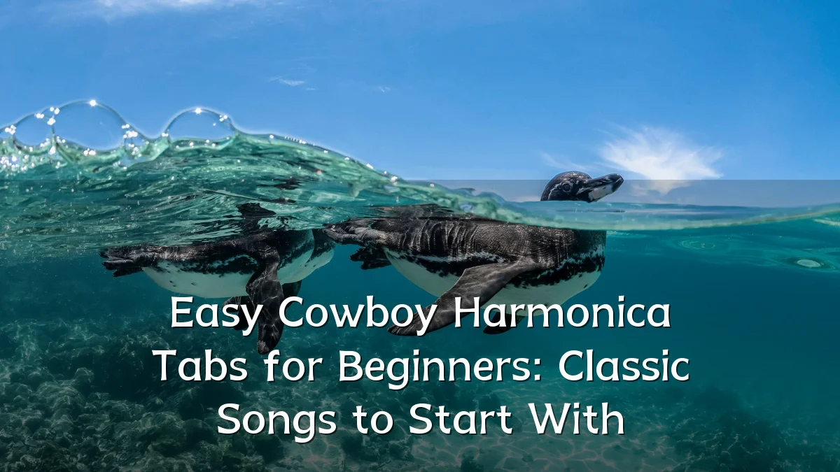 Easy Cowboy Harmonica Tabs for Beginners: Classic Songs to Start With