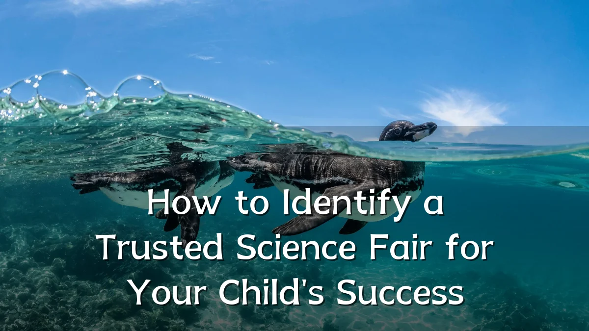How to Identify a Trusted Science Fair for Your Child's Success