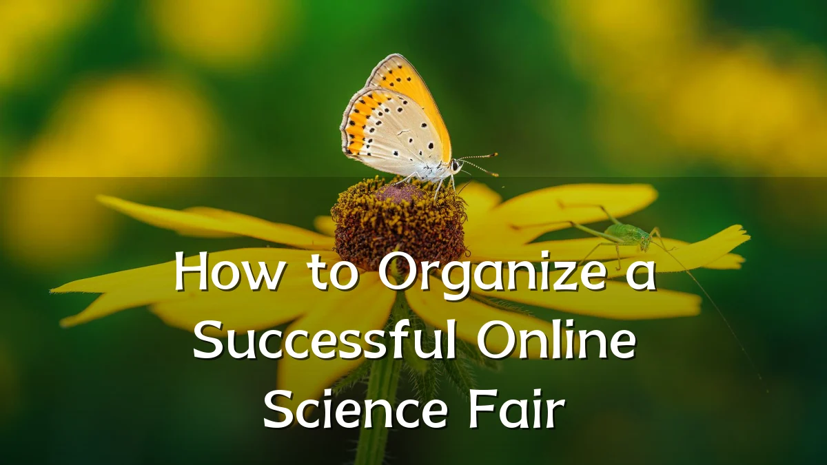 How to Organize a Successful Online Science Fair