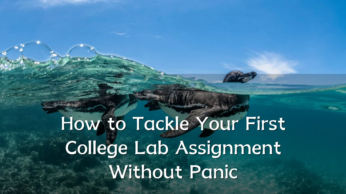 How to Tackle Your First College Lab Assignment Without Panic