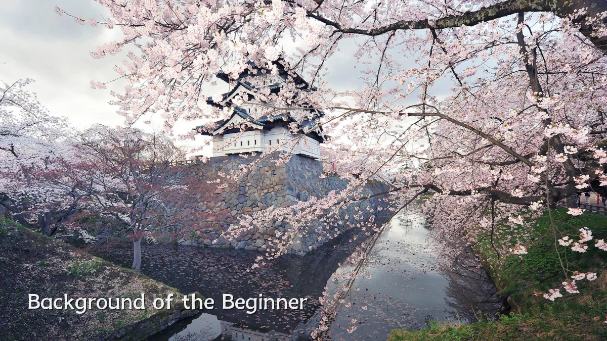 Background of the Beginner