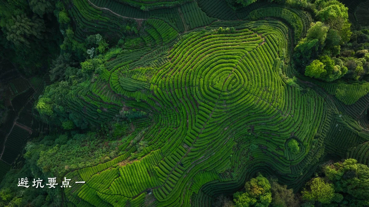 避坑要点一
