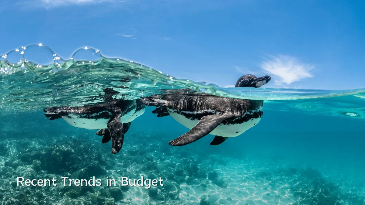 Recent Trends in Budget