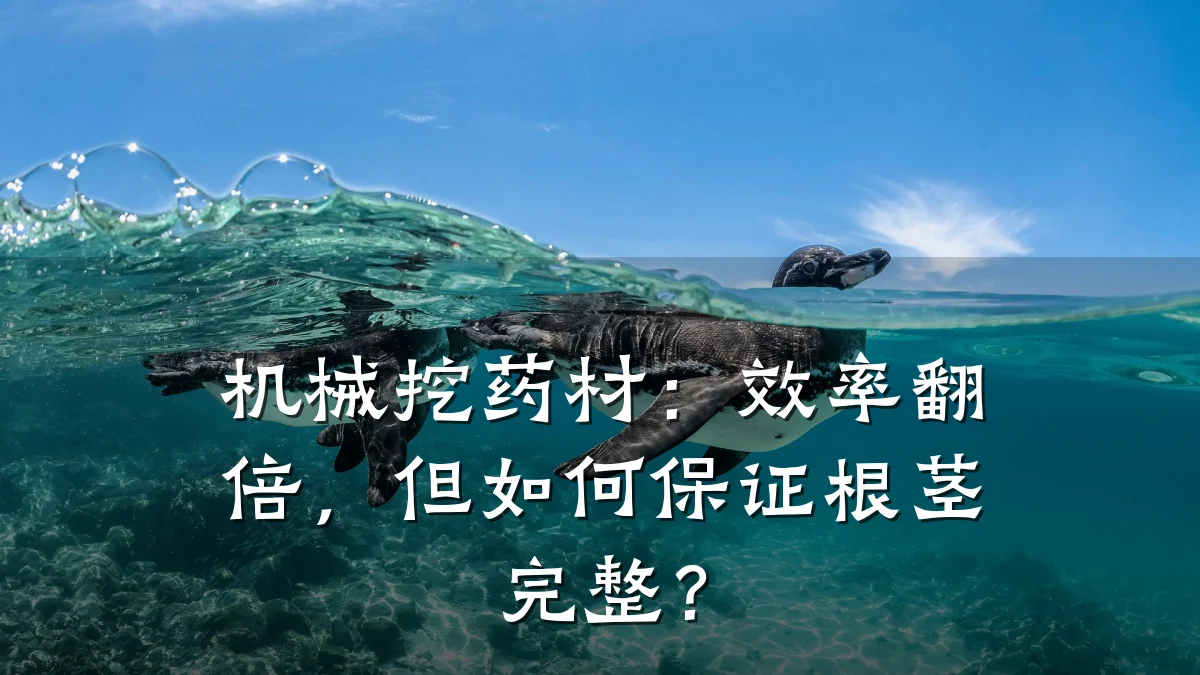 机械挖药材：效率翻倍，但如何保证根茎完整？