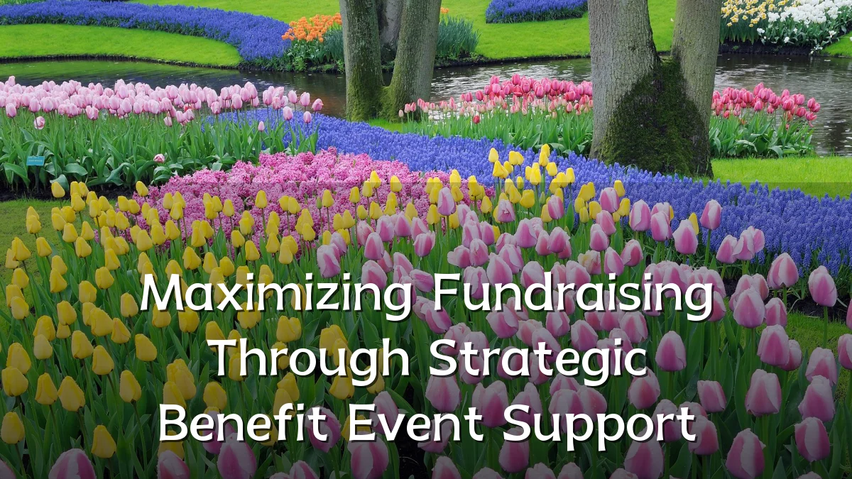 Maximizing Fundraising Through Strategic Benefit Event Support