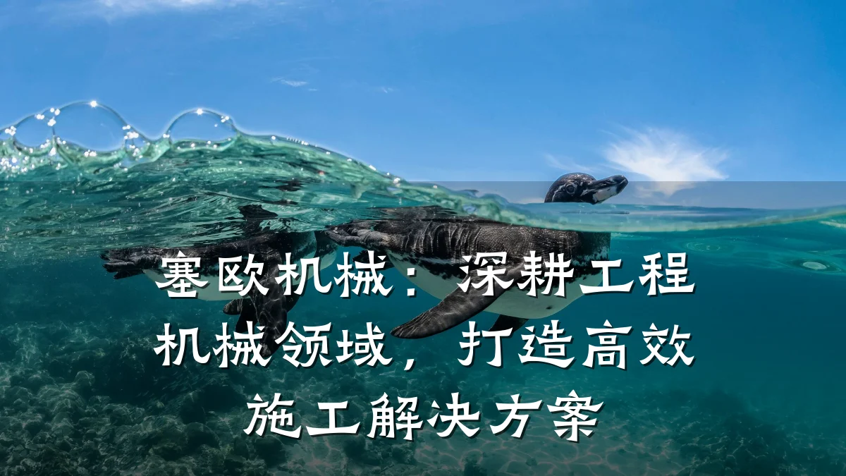 塞欧机械:深耕工程机械领域,打造高效施工解决方案
