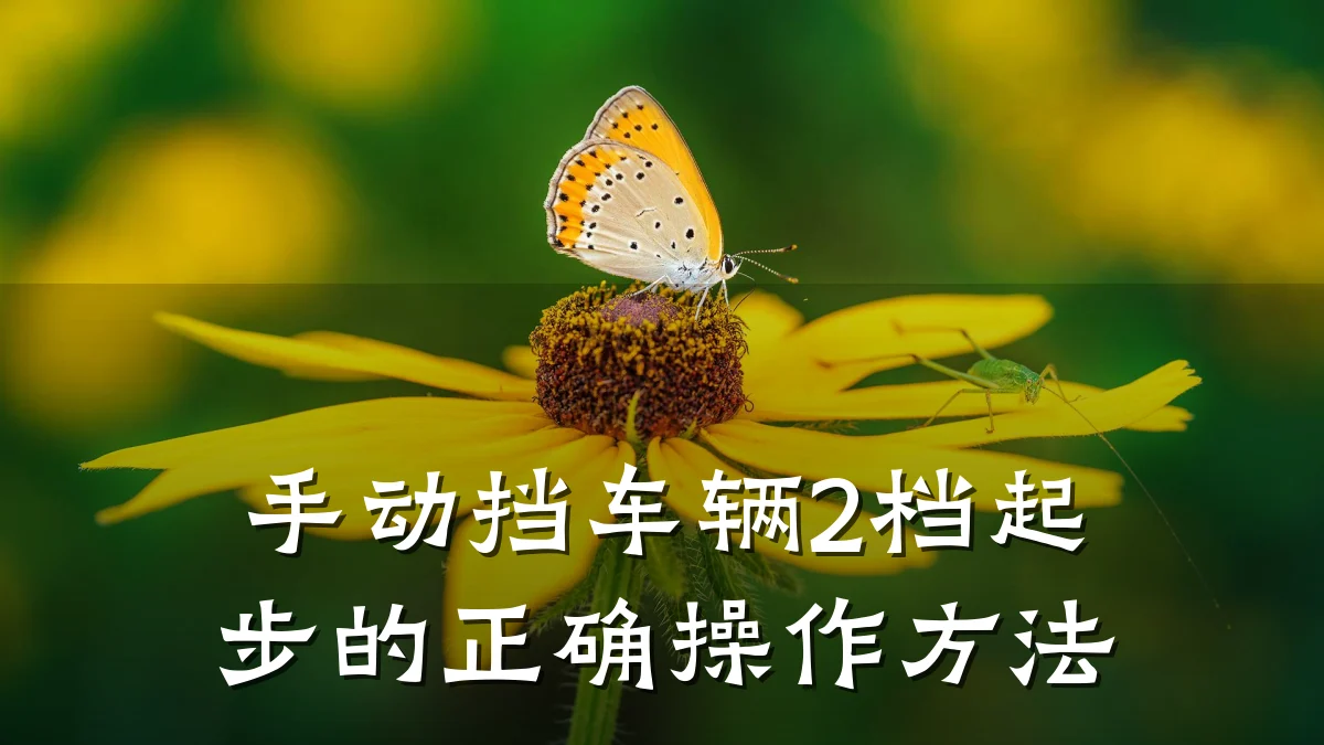手动挡车辆2档起步的正确操作方法