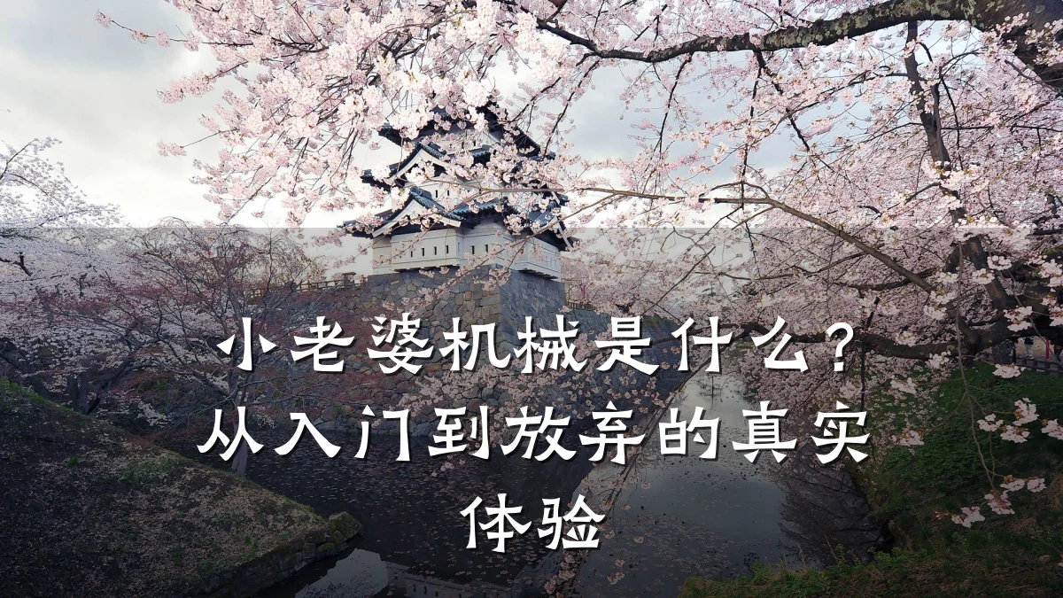 小老婆机械是什么？从入门到放弃的真实体验
