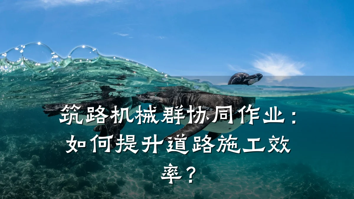 筑路机械群协同作业:如何提升道路施工效率?