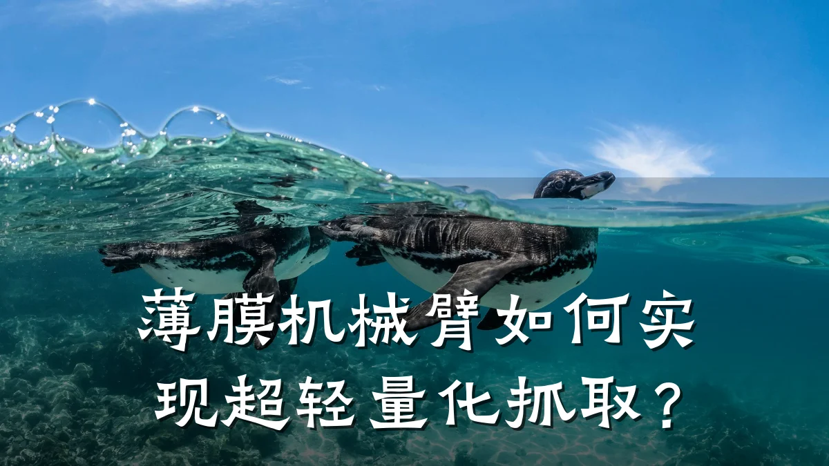 薄膜机械臂如何实现超轻量化抓取？
