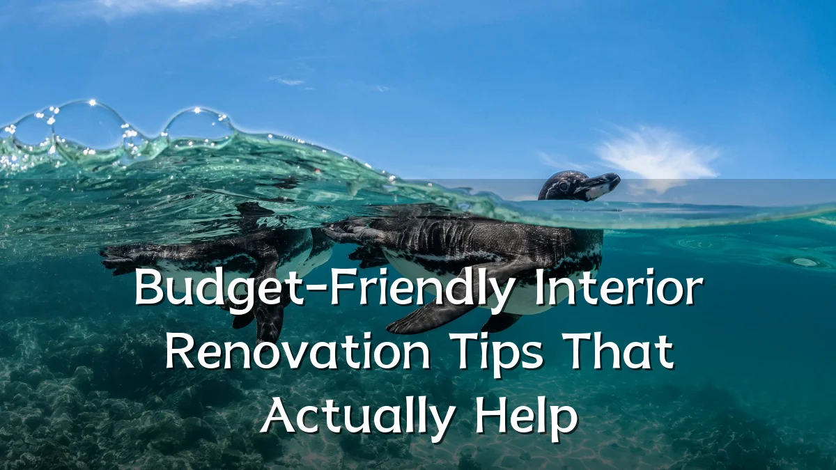 Budget-Friendly Interior Renovation Tips That Actually Help
