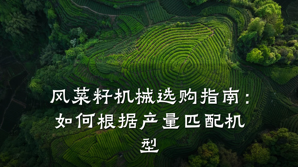风菜籽机械选购指南:如何根据产量匹配机型