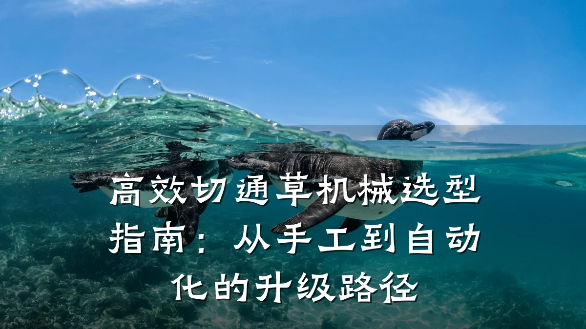 高效切通草机械选型指南:从手工到自动化的升级路径