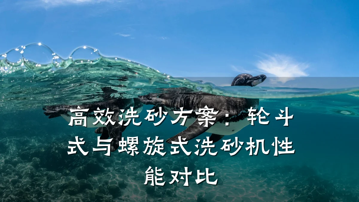 高效洗砂方案:轮斗式与螺旋式洗砂机性能对比