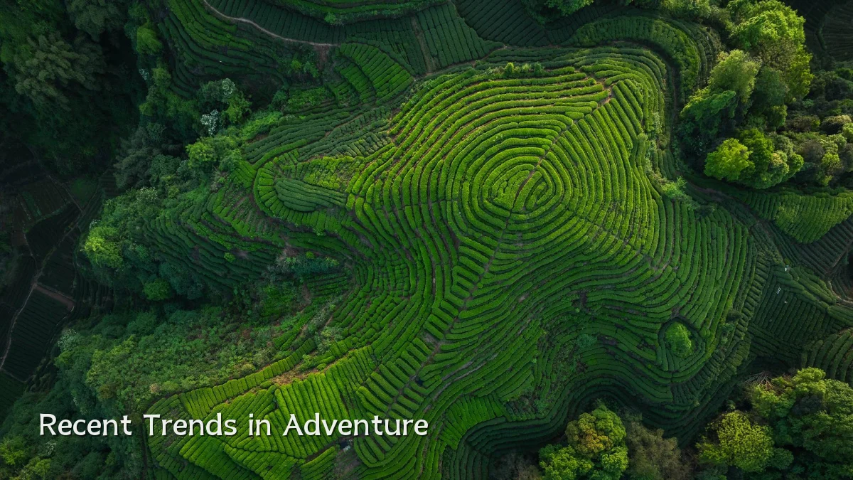 Recent Trends in Adventure