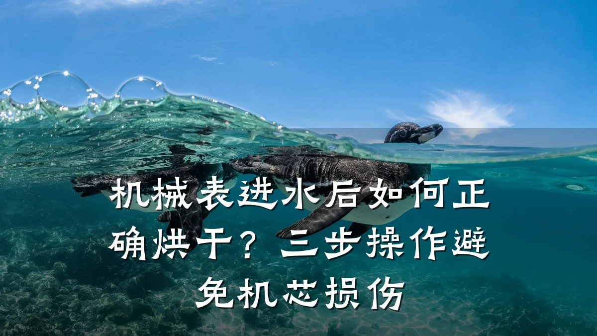 机械表进水后如何正确烘干?三步操作避免机芯损伤