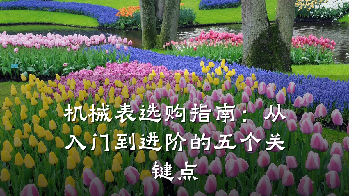 机械表选购指南:从入门到进阶的五个关键点