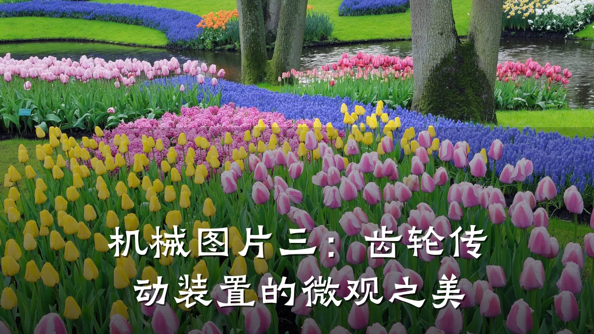 机械图片三：齿轮传动装置的微观之美
