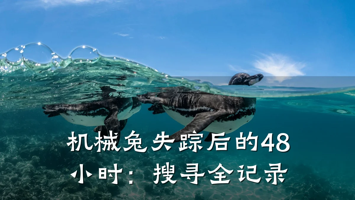 机械兔失踪后的48小时：搜寻全记录