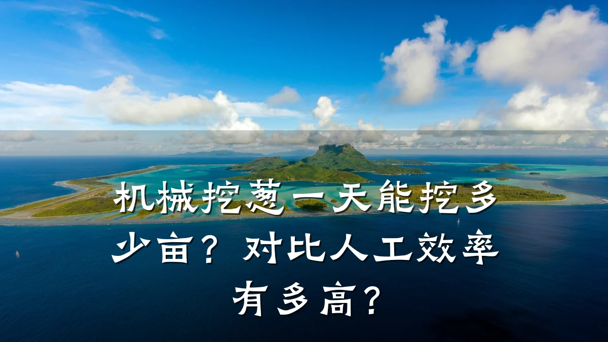 机械挖葱一天能挖多少亩？对比人工效率有多高？